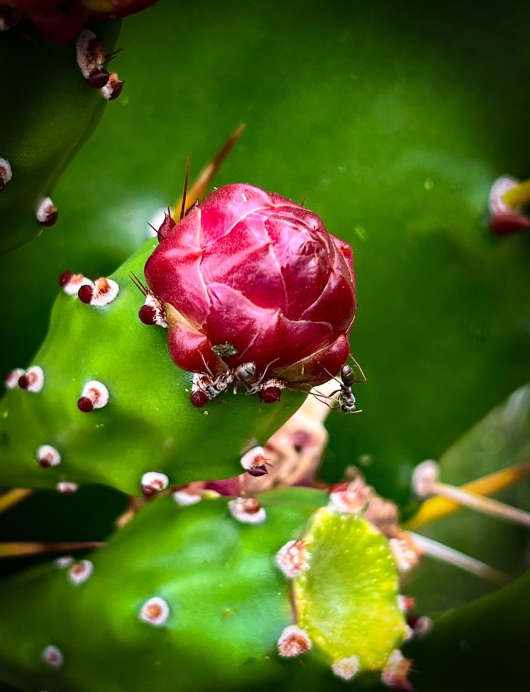 Photograph by Siarhei Saladukhin