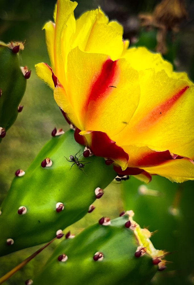 Photograph by Siarhei Saladukhin
