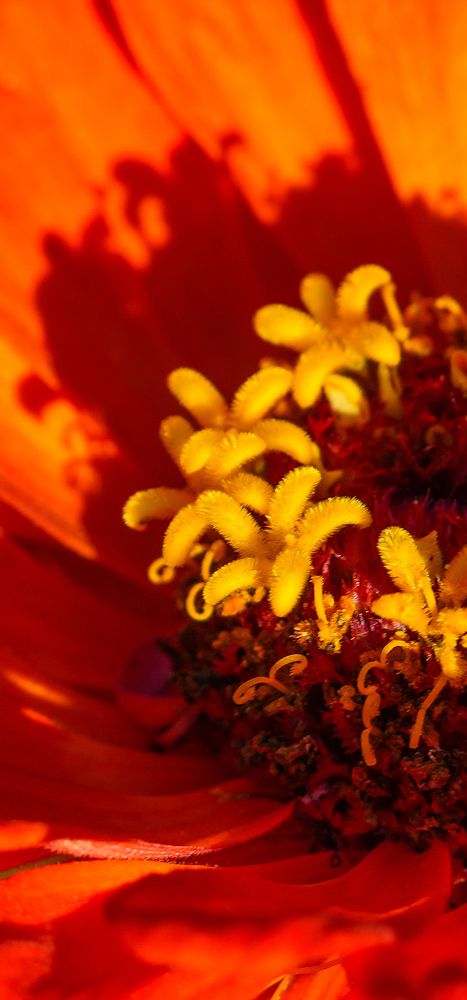 Photograph by Михаил Трусов