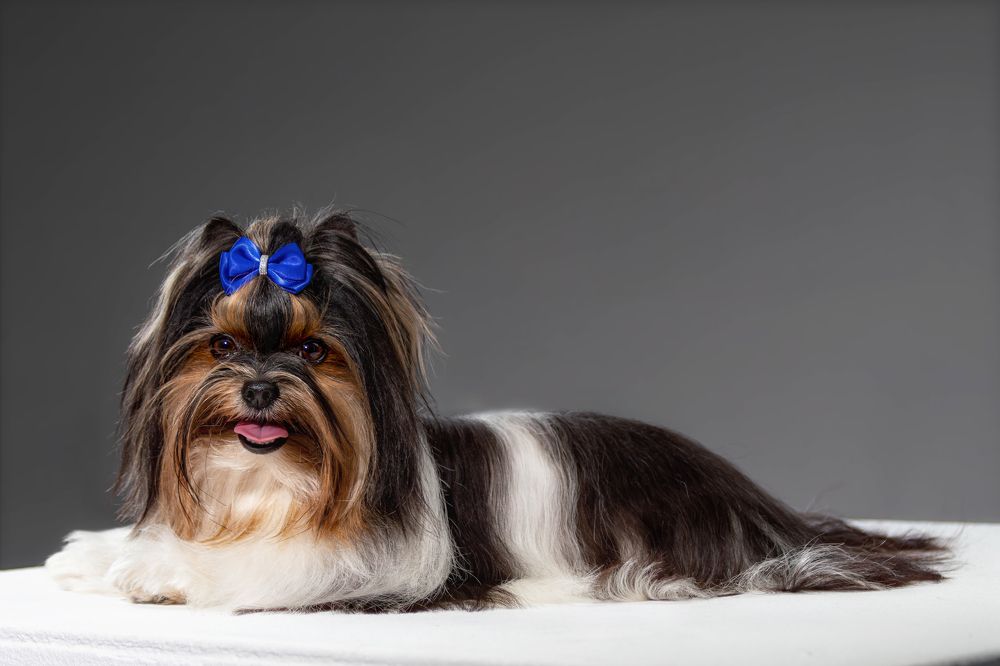 Photograph by Natalya Gracheva