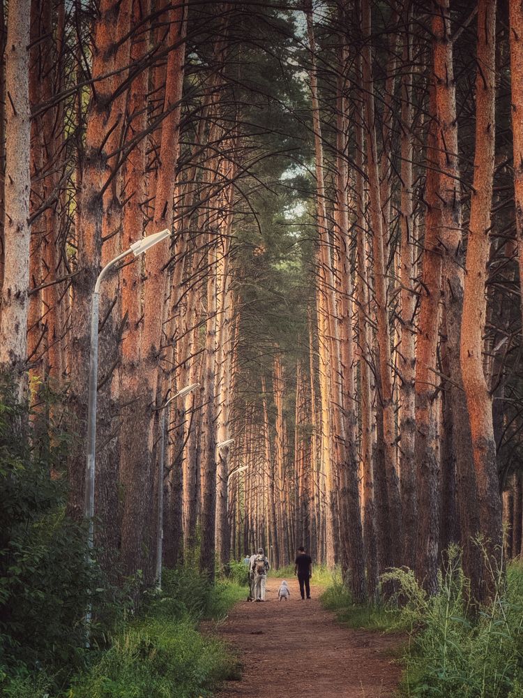 Photograph by Кира Бахвалова