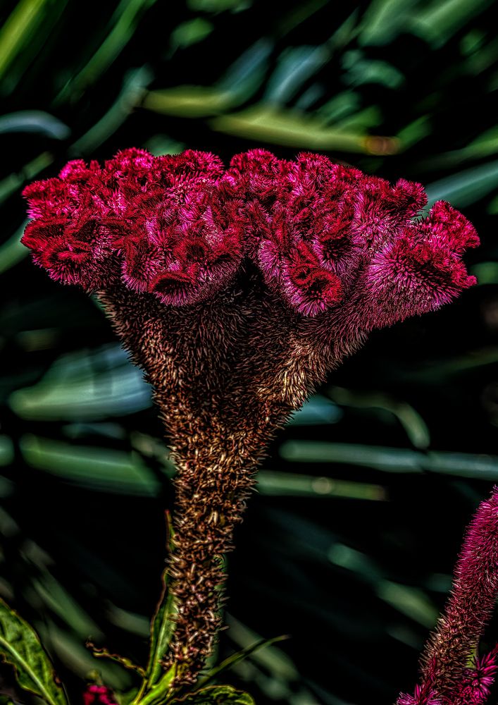 Photograph by Владимир Кваша