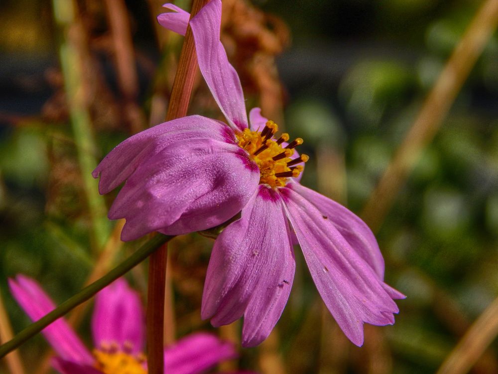 Фотография автора Валерий Цуркан