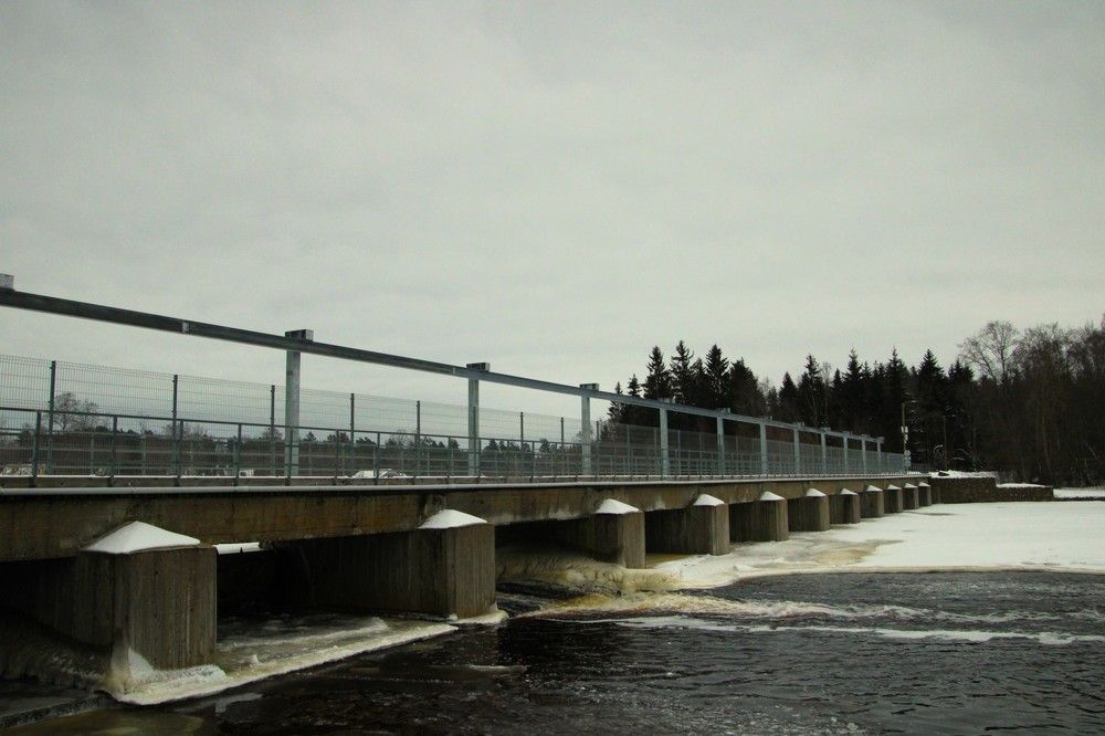 Photograph by Anna Baykova