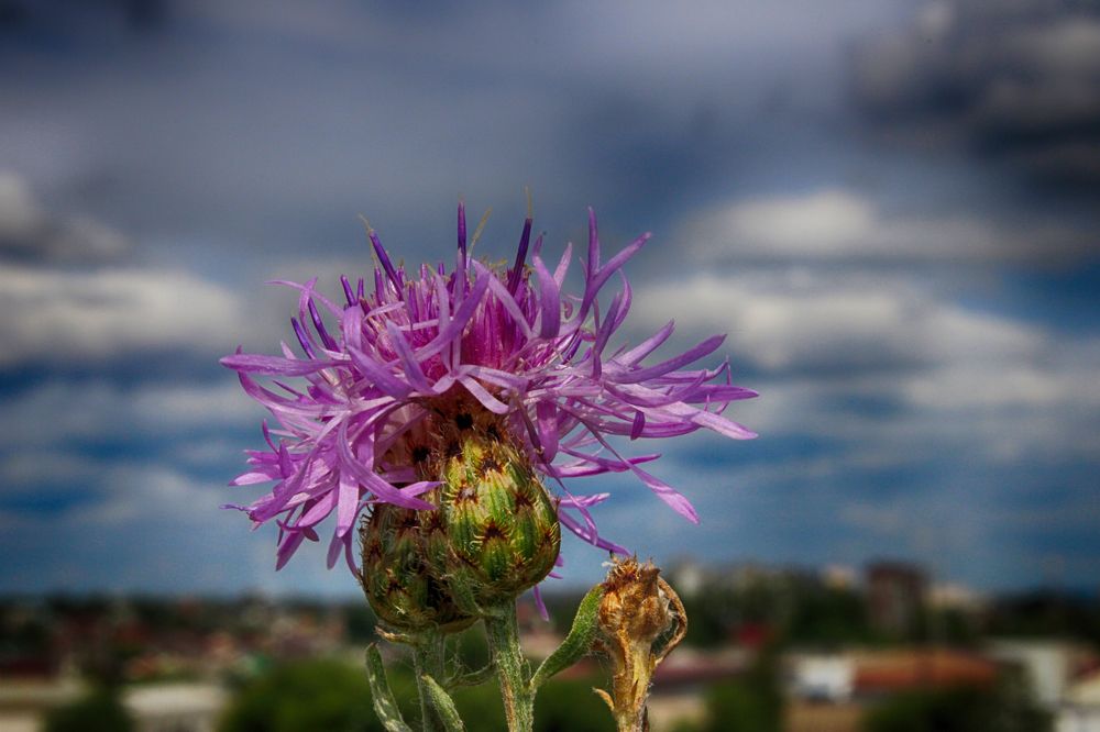 Фотография автора Валерий Цуркан