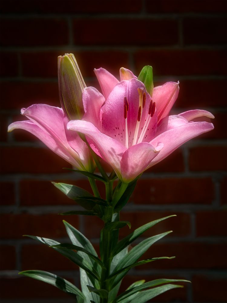 Photograph by Владимир Кваша