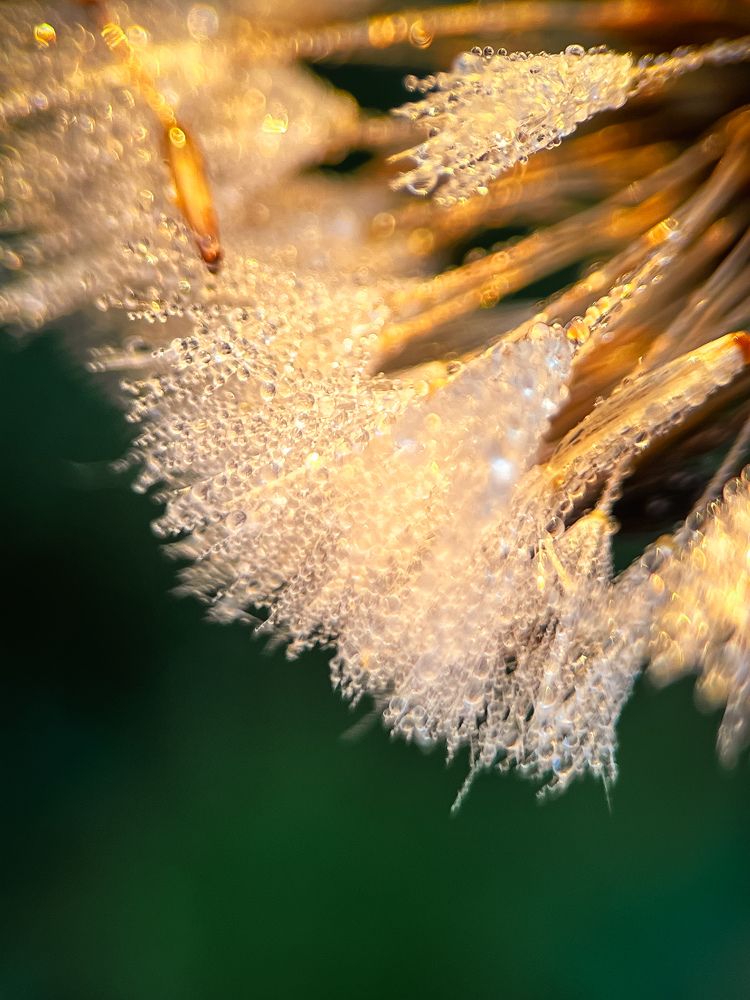 Photograph by Екатерина Валиуллина