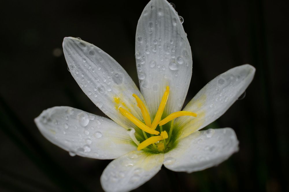 Photograph by Dibyajyoti Nath