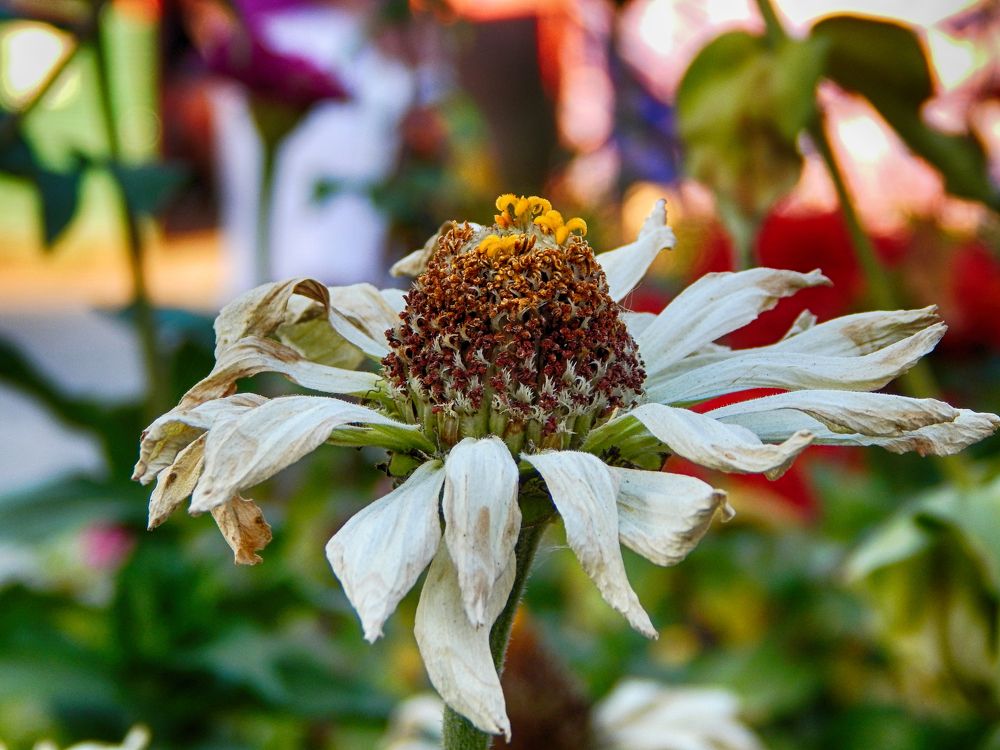 Фотография автора Валерий Цуркан
