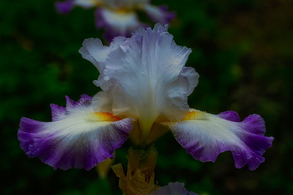 Photograph by Владимир Кваша