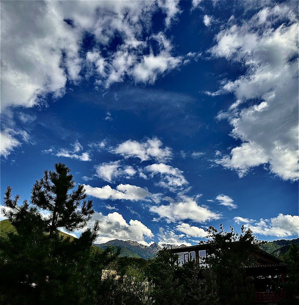 Photograph by Olessya Kim