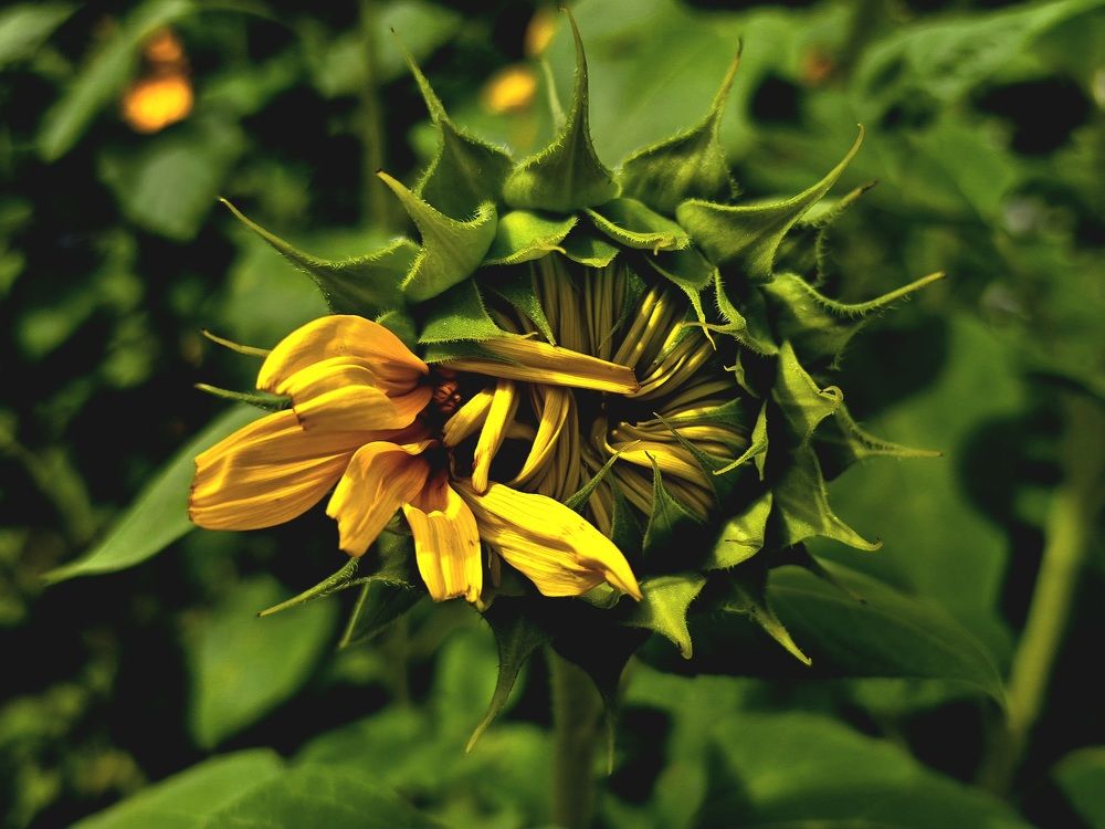 Photograph by Анна Семенова