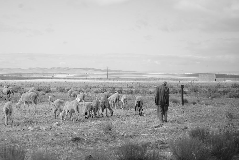 Photograph by Ziko Demmane