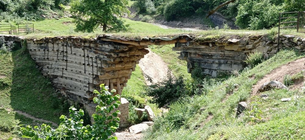 Photograph by Лариса Неудачина