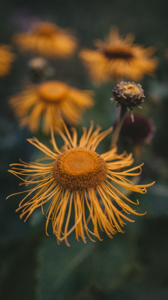 Photograph by Anton Kotlovskii