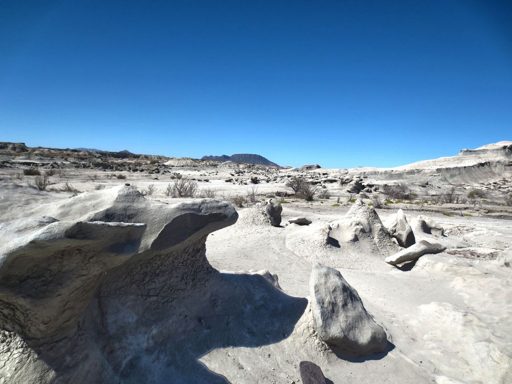 Фотография автора MIGUEL OMAR BARBERIS