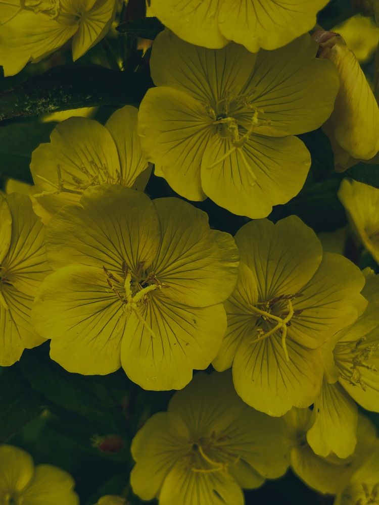 Photograph by Юлия