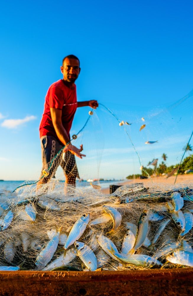 Фотография автора Antonio Etevaldo Rodrigues Junior