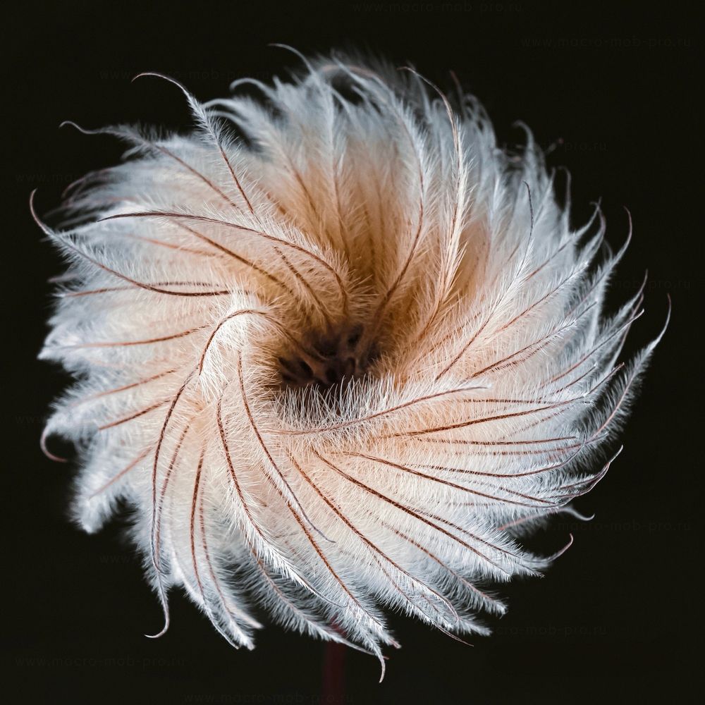 Photograph by Захарова Надежда