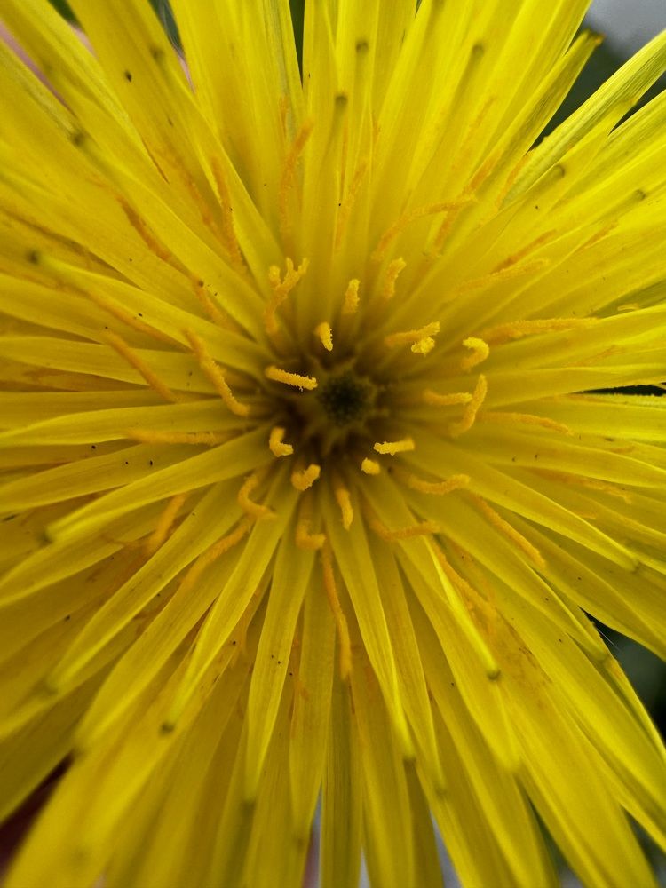 Photograph by Mustafa Al shaibani