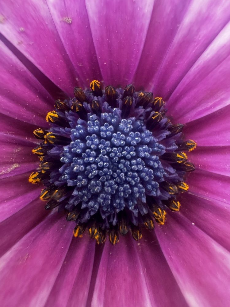 Photograph by Mustafa Al shaibani