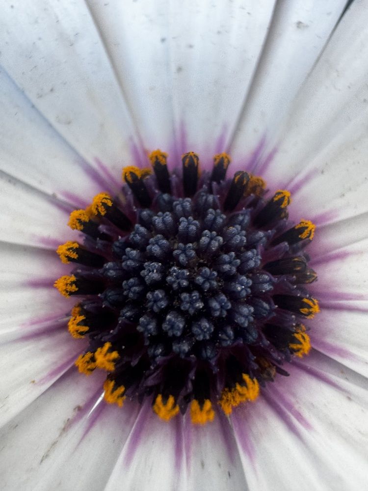 Photograph by Mustafa Al shaibani