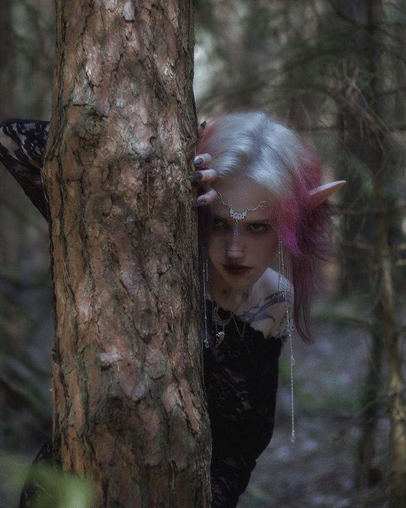 Фотография автора  Dash