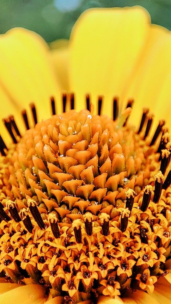 Photograph by Оксана