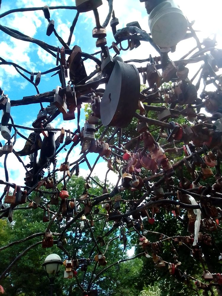 Photograph by Irina Mihailovskaya