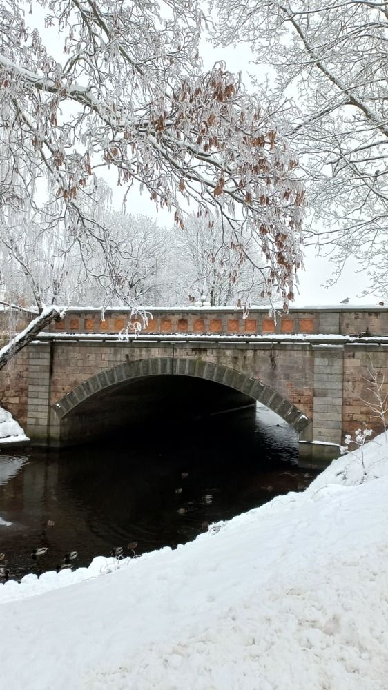 Photograph by Ирина Калюжная