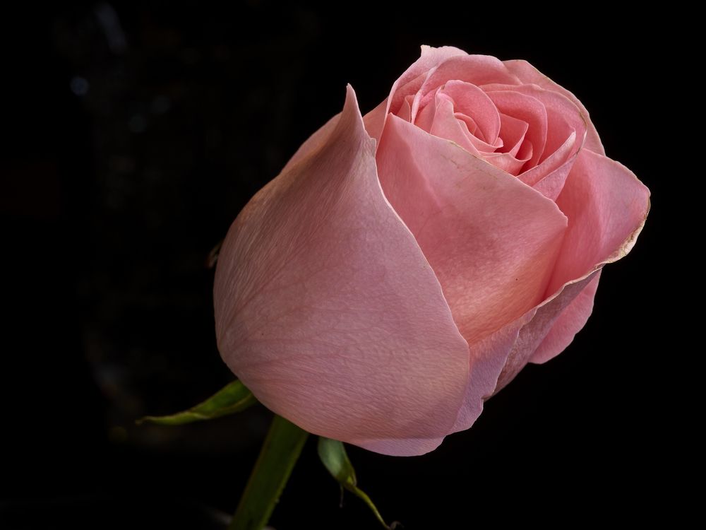 Photograph by Aleksandr Belov