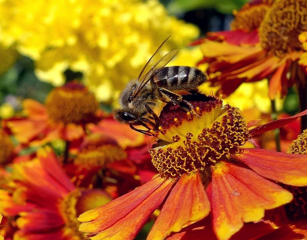 Photograph by Виктор Решетников