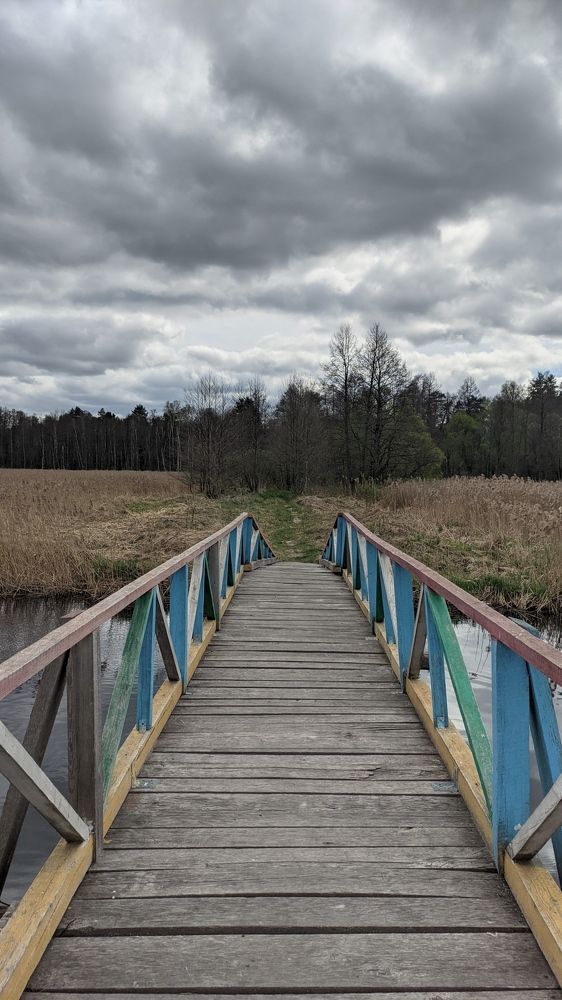 Фотография автора Васильева Ирина