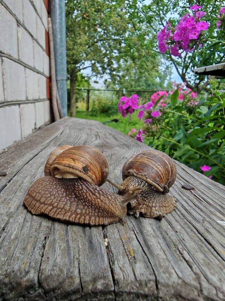 Photograph by Alexey Troyanovskiy