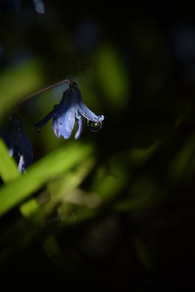 Photograph by Ольга Рыкова