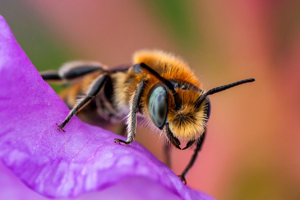 Photograph by Sergio Gomez Dominguez