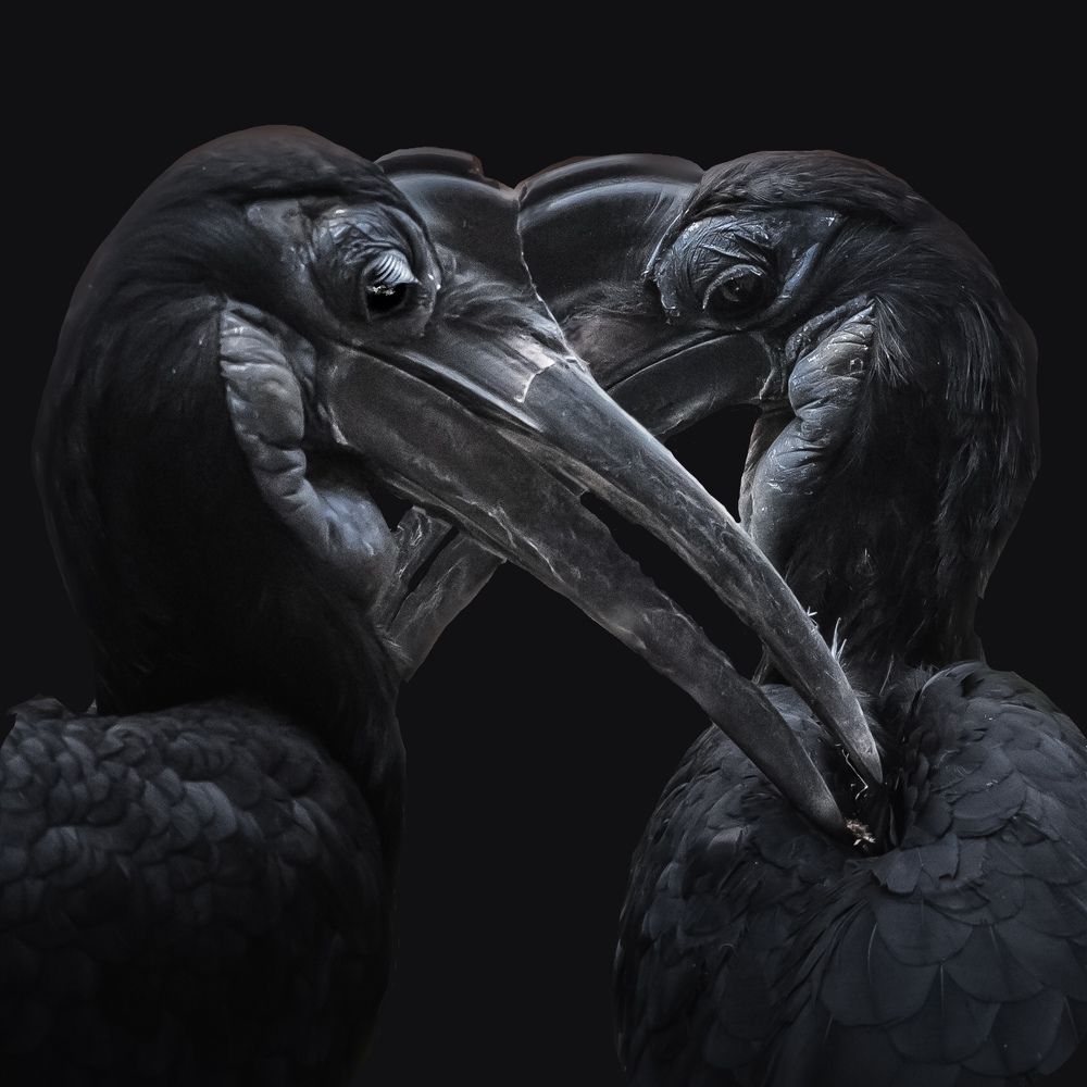 Photograph by Анна Стрелковская