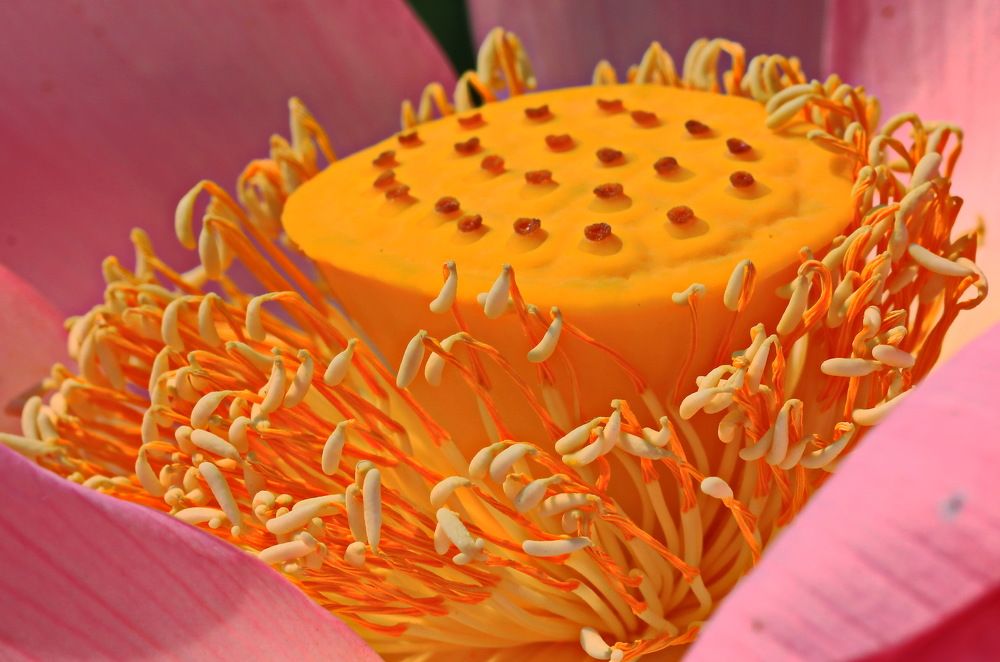 Фотография автора Сергей Кульков