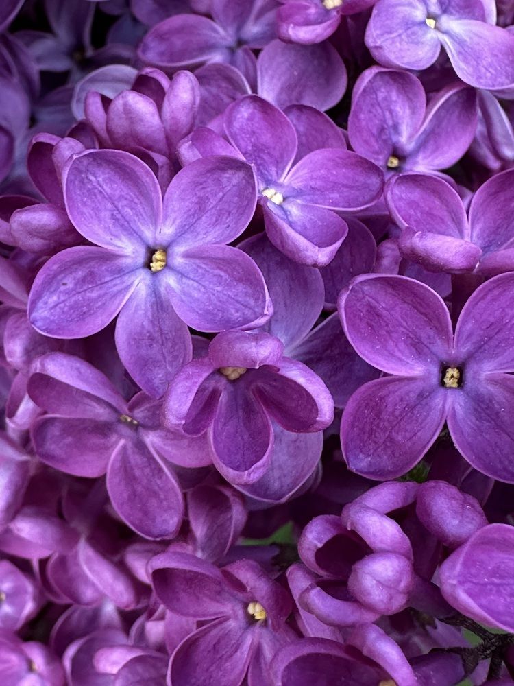 Photograph by Елена