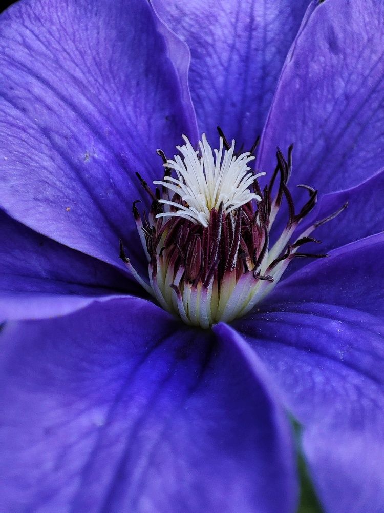 Фотография автора Мария Филиппова