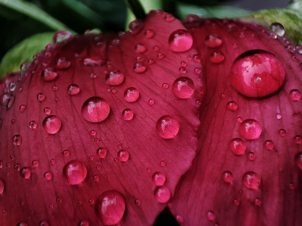 Фотография автора Мария Филиппова