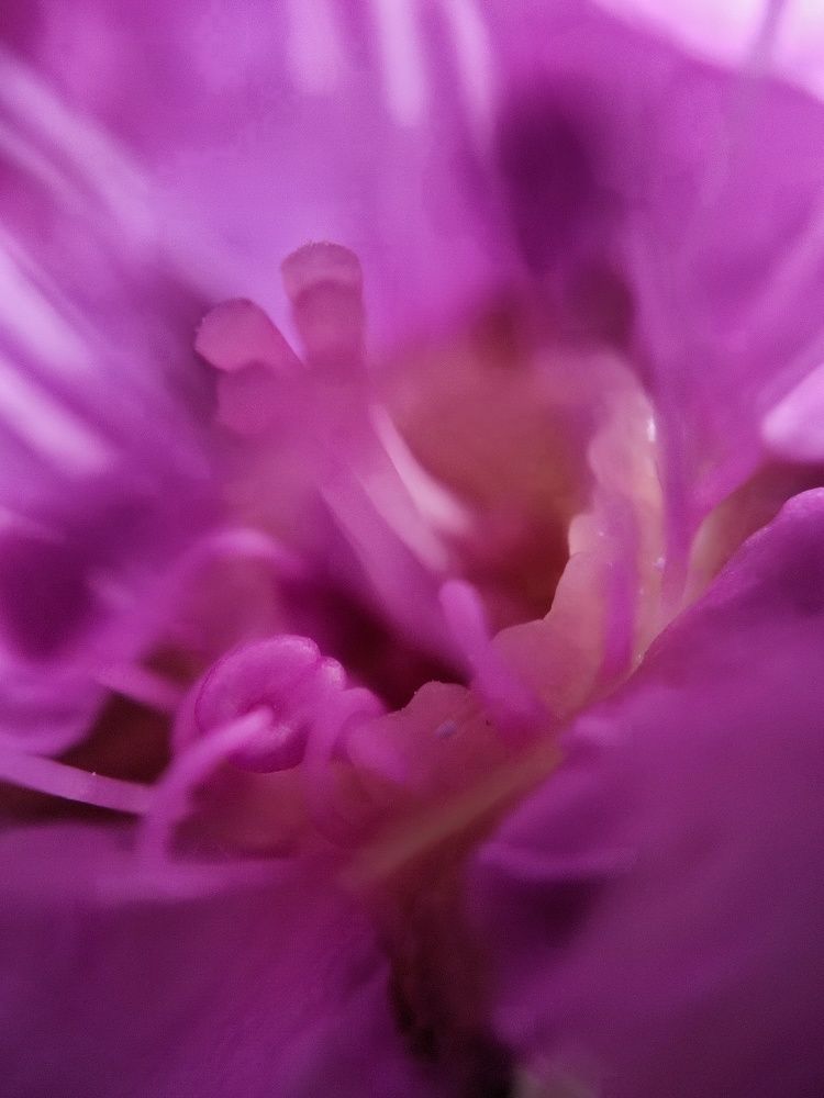 Фотография автора Мария Филиппова