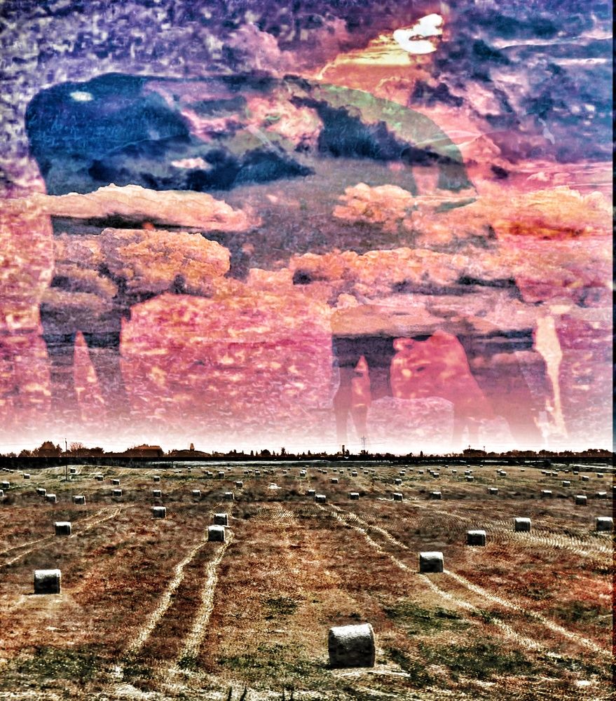 Photograph by AlexaL