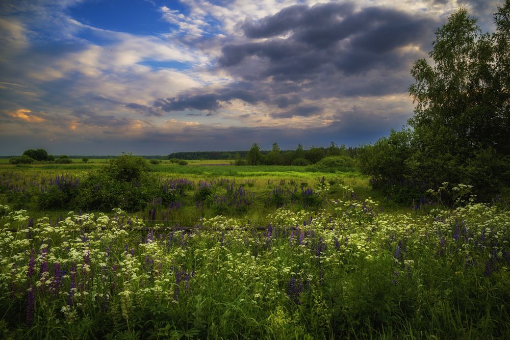 Photograph by Андрей Ныриков