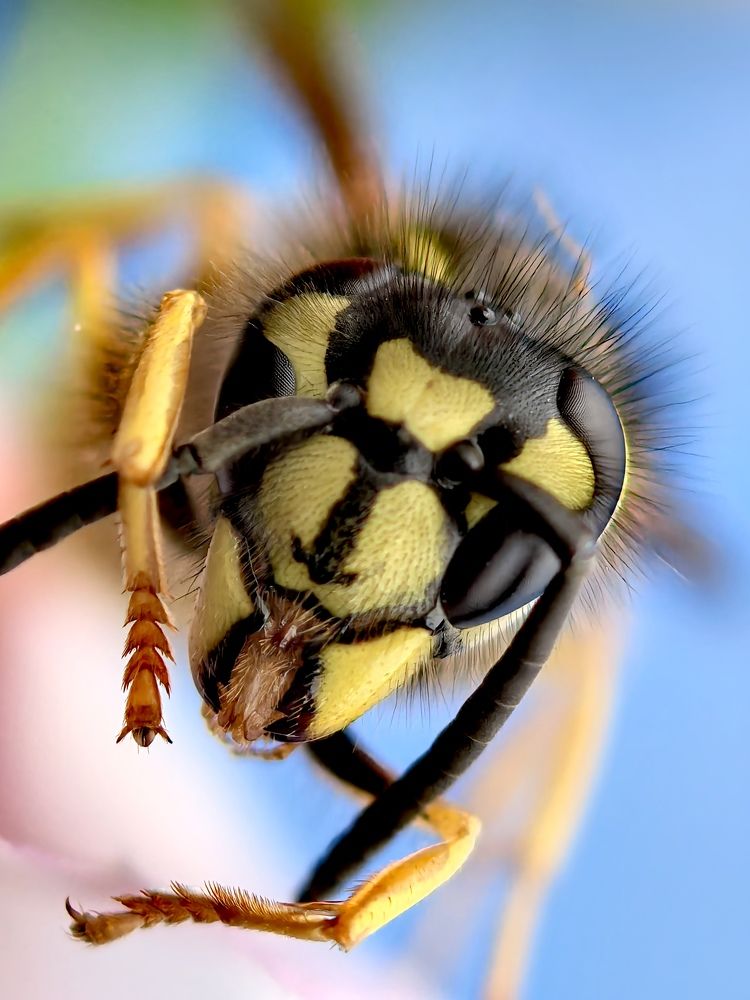 Photograph by Анна Епанчинцева