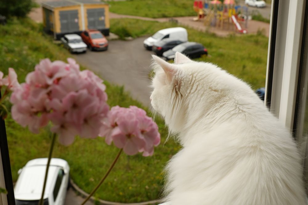 Photograph by Лариса Андреева