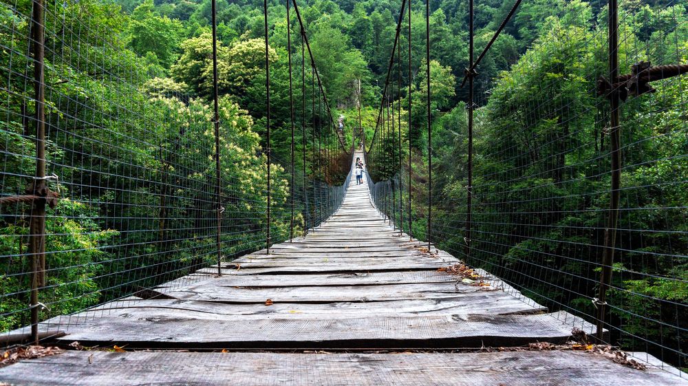 Photograph by Виталий Павлов