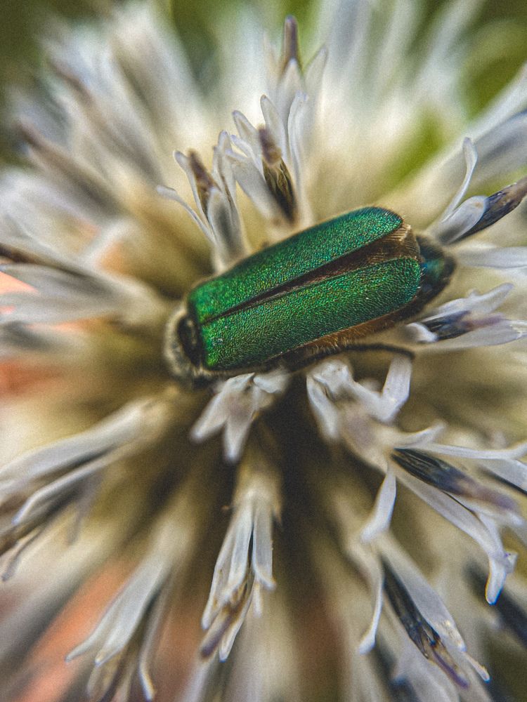 Photograph by Анна