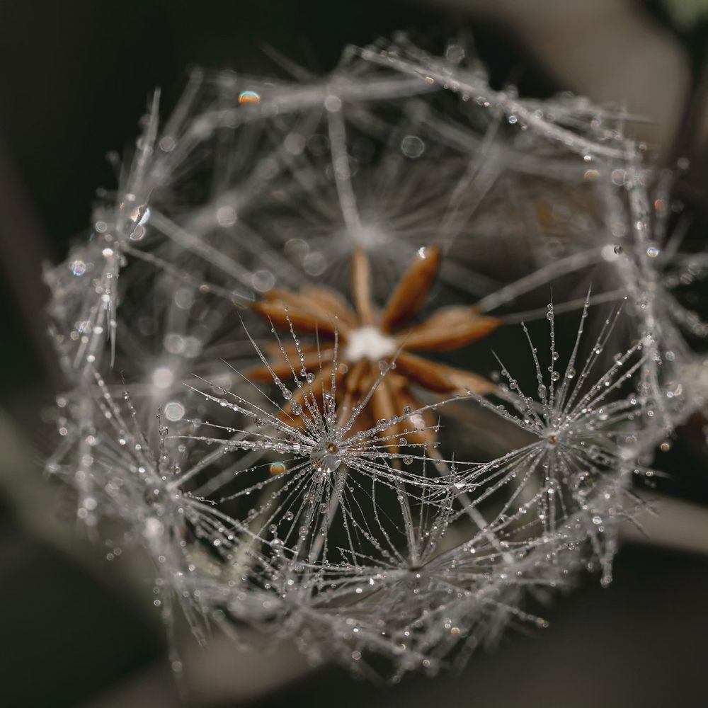 Photograph by kamran shirani