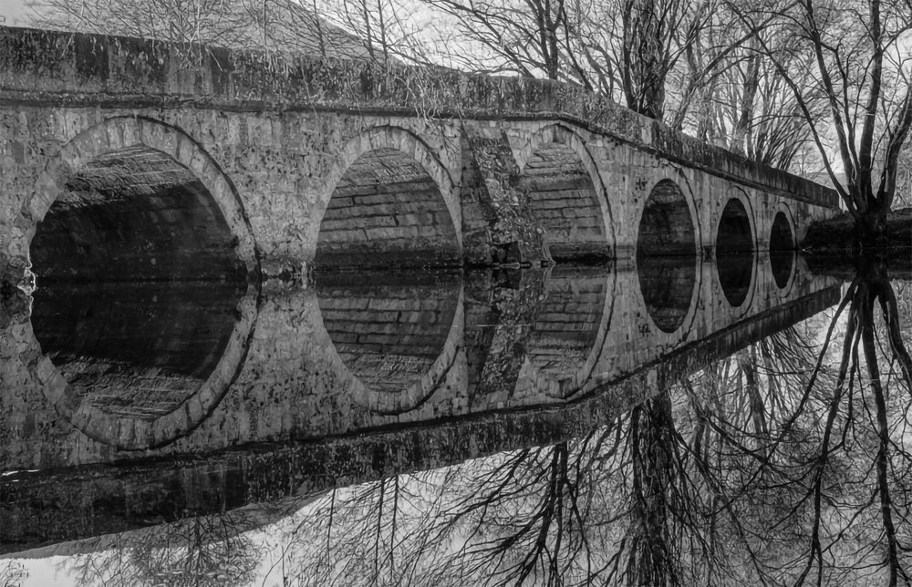 Фотография автора Abdullah Ibradžić